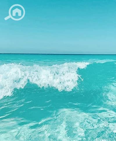 2 Bedroom Chalet for Rent in Marsa Matrouh, Matruh - WhatsApp Image 2024-07-05 at 09.57. 26_d662e5c0. jpg 2 Bedroom Chalet for Rent in Marsa Matrouh, Matruh - WhatsApp Image 2024-07-05 at 09.57. 26_d662e5c0. jpg
