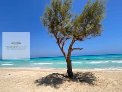 3 Bedroom Chalet for Sale in North Coast, Matruh - 371333102_7206403022721384_4512853991148302210_n. jpg 3 Bedroom Chalet for Sale in North Coast, Matruh - 371333102_7206403022721384_4512853991148302210_n. jpg