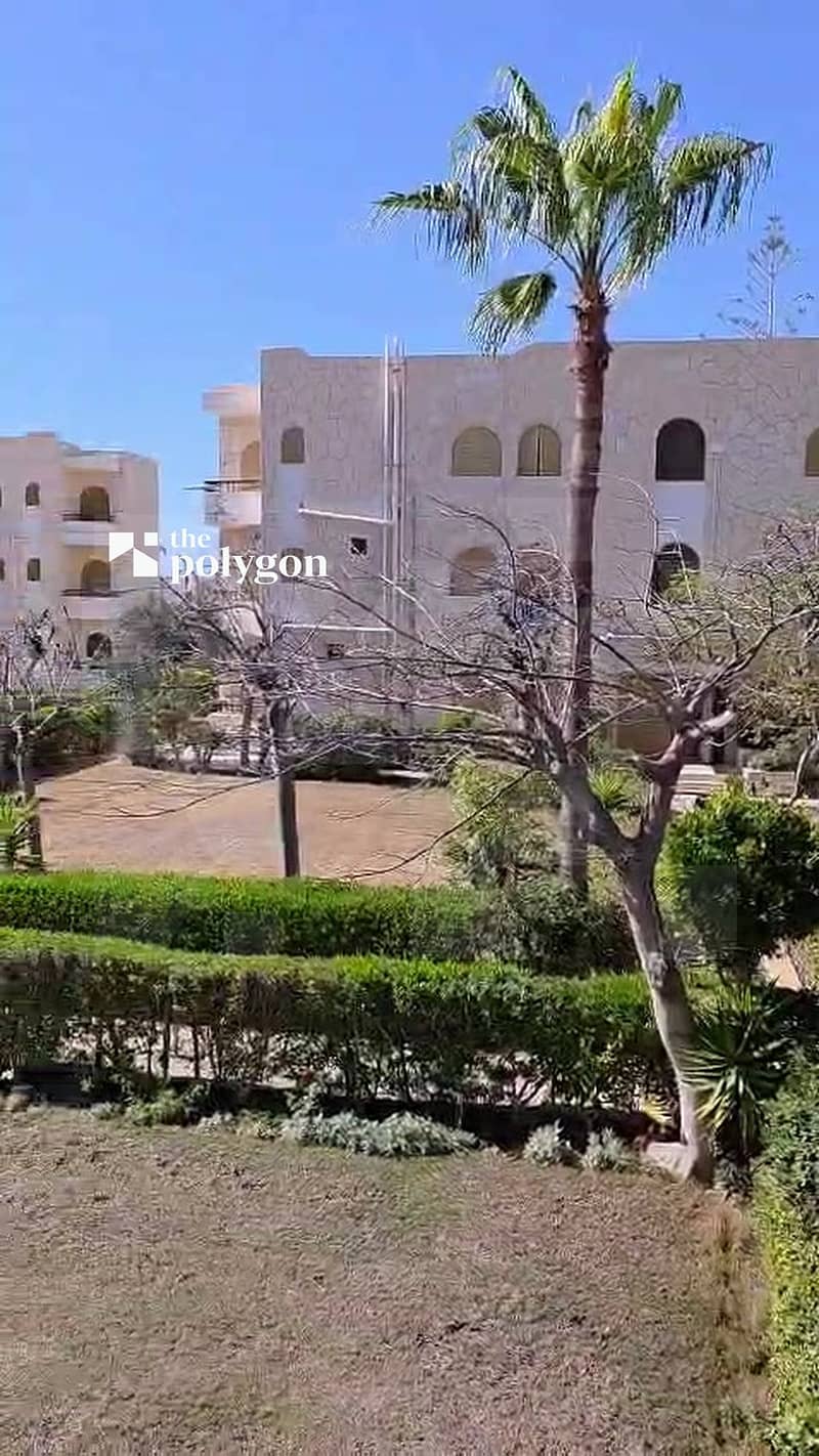 2 02_garden_palm_buildings. jpg
