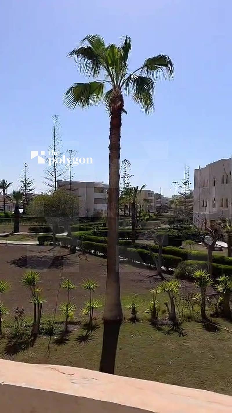 3 03_palm_garden_view. jpg