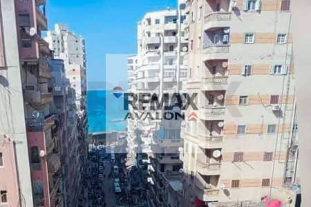 2 Bedroom Flat for Sale in Miami, Alexandria - WhatsApp Image 2026-06-13 at 4.36. 16 PM. jpg 2 Bedroom Flat for Sale in Miami, Alexandria - WhatsApp Image 2026-06-13 at 4.36. 16 PM. jpg