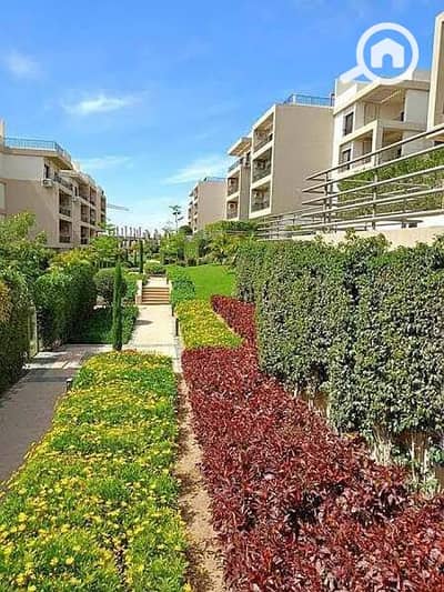 3 Bedroom Flat for Sale in New Cairo, Cairo - WhatsApp Image 2026-06-14 at 1.43. 42 PM. jpeg 3 Bedroom Flat for Sale in New Cairo, Cairo - WhatsApp Image 2026-06-14 at 1.43. 42 PM. jpeg