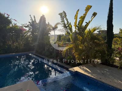 4 Bedroom Villa for Rent in New Cairo, Cairo - WhatsApp Image 2026-06-11 at 4.20. 38 PM (1). jpeg