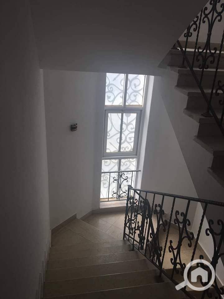 villa for rent beverly hills compouned fully finished – pohled 4