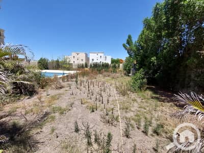 Land for Sale in King Mariout, Alexandria - 1000617017. jpg Land for Sale in King Mariout, Alexandria - 1000617017. jpg