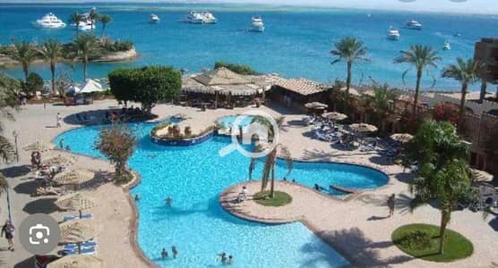 2 Bedroom Apartment for Rent in Hurghada, Red Sea - IMG_9852. jpg 2 Bedroom Apartment for Rent in Hurghada, Red Sea - IMG_9852. jpg
