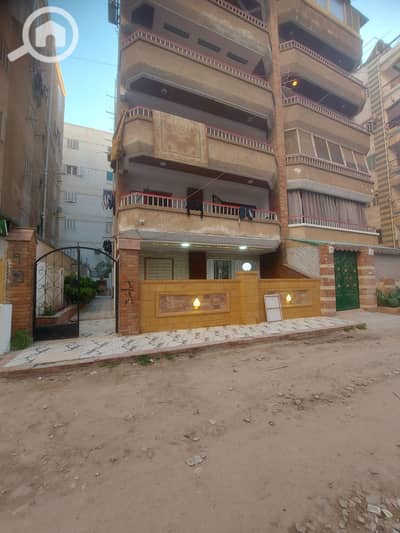 شاليه 3 غرف نوم للبيع في النخيل، الإسكندرية - 1000840062. jpg