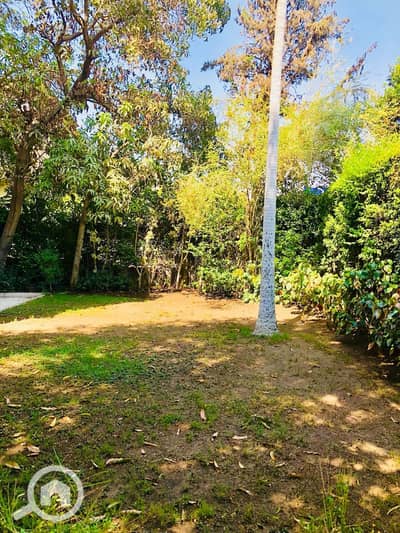 10+ Beds Villa for Sale in Heliopolis, Cairo - WhatsApp Image 2026-06-14 at 4.09. 34 AM (2). jpeg 10+ Beds Villa for Sale in Heliopolis, Cairo - WhatsApp Image 2026-06-14 at 4.09. 34 AM (2). jpeg