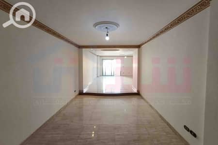 4 Bedroom Apartment for Rent in Stanley, Alexandria - WhatsApp Image 2026-06-09 at 15.57. 32. jpg 4 Bedroom Apartment for Rent in Stanley, Alexandria - WhatsApp Image 2026-06-09 at 15.57. 32. jpg