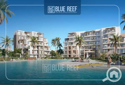 1 Bedroom Chalet for Sale in North Coast, Matruh - WhatsApp Image 2026-06-15 at 4.19. 26 PM (1). jpeg 1 Bedroom Chalet for Sale in North Coast, Matruh - WhatsApp Image 2026-06-15 at 4.19. 26 PM (1). jpeg
