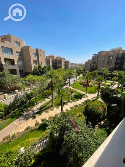Studio for Rent in New Cairo, Cairo - 351129. jpg