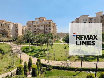 3 Bedroom Flat for Sale in Madinaty, Cairo - 1000522443. jpg 3 Bedroom Flat for Sale in Madinaty, Cairo - 1000522443. jpg