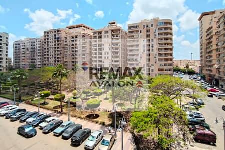 3 Bedroom Flat for Rent in Smoha, Alexandria - 1. jpg 3 Bedroom Flat for Rent in Smoha, Alexandria - 1. jpg