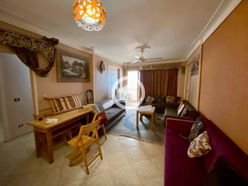 4 41033da1-533f-4815-843e-55981879aed4. jpg