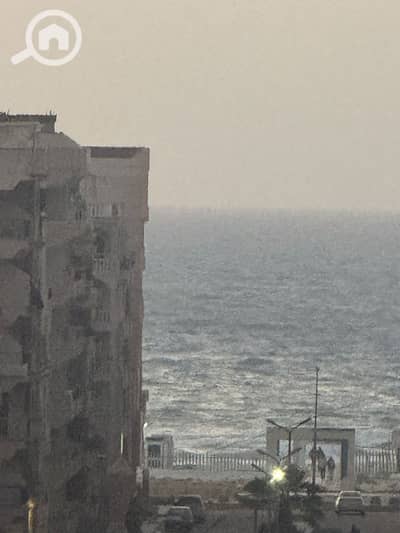 فلیٹ 1 غرفة نوم للبيع في النخيل، الإسكندرية - 1000891839. jpg فلیٹ 1 غرفة نوم للبيع في النخيل، الإسكندرية - 1000891839. jpg