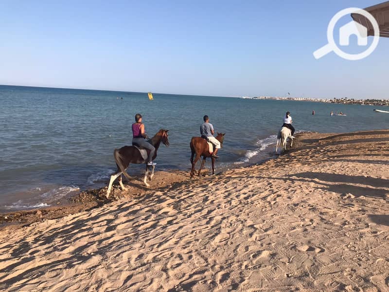 Modern chalet for daily rent in Hurghada with a panoramic sea view, swimming pools, and a very luxurious place. - Ansicht 4
