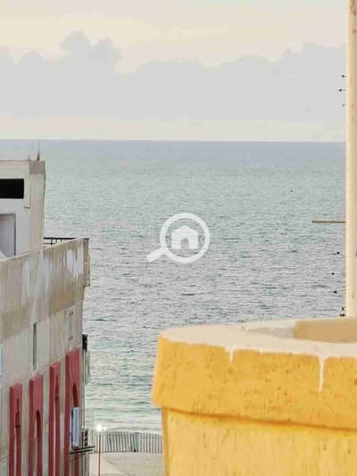 فلیٹ 2 غرفة نوم للبيع في النخيل، الإسكندرية - 1000370563. jpg فلیٹ 2 غرفة نوم للبيع في النخيل، الإسكندرية - 1000370563. jpg