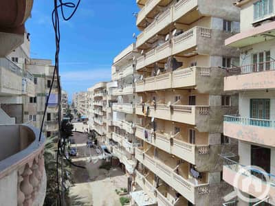 شقة 2 غرفة نوم للبيع في النخيل، الإسكندرية - 1000388970. jpg