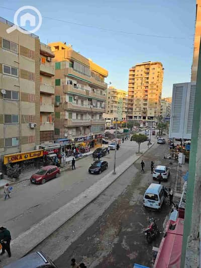 فلیٹ 2 غرفة نوم للبيع في النخيل، الإسكندرية - 1000388640. jpg