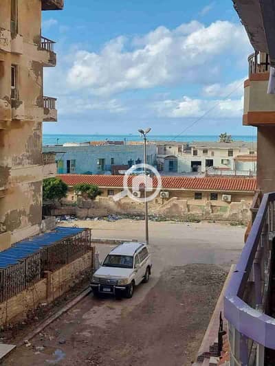 شقة 3 غرف نوم للبيع في النخيل، الإسكندرية - 1000355691. jpg شقة 3 غرف نوم للبيع في النخيل، الإسكندرية - 1000355691. jpg