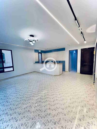 2 Bedroom Apartment for Sale in Nakheel, Alexandria - 1000393872. jpg
