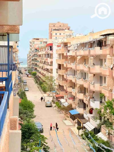 شقة 2 غرفة نوم للبيع في النخيل، الإسكندرية - 1000400589. jpg