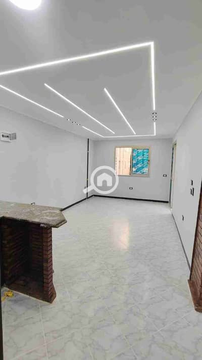 شقة 2 غرفة نوم للبيع في النخيل، الإسكندرية - 1000401015. jpg شقة 2 غرفة نوم للبيع في النخيل، الإسكندرية - 1000401015. jpg