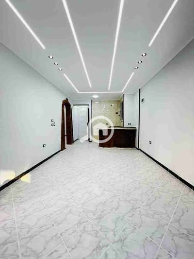 2 Bedroom Apartment for Sale in Nakheel, Alexandria - 1000404630. jpg 2 Bedroom Apartment for Sale in Nakheel, Alexandria - 1000404630. jpg