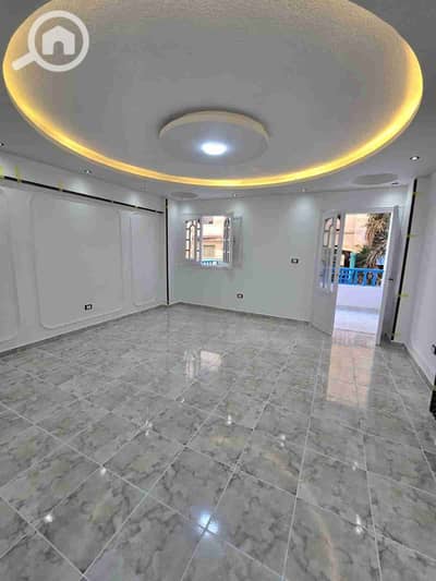 فلیٹ 2 غرفة نوم للبيع في النخيل، الإسكندرية - 1000408962. jpg فلیٹ 2 غرفة نوم للبيع في النخيل، الإسكندرية - 1000408962. jpg