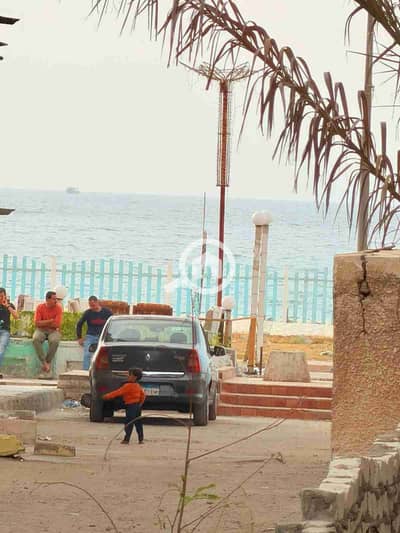 2 Bedroom Apartment for Sale in Nakheel, Alexandria - 1000409628. jpg