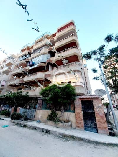 شقة 2 غرفة نوم للبيع في النخيل، الإسكندرية - 1000418139. jpg شقة 2 غرفة نوم للبيع في النخيل، الإسكندرية - 1000418139. jpg