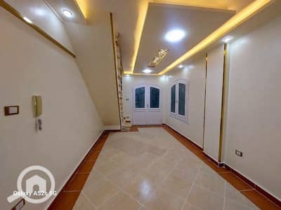 فلیٹ 2 غرفة نوم للبيع في النخيل، الإسكندرية - 1000421038. jpg