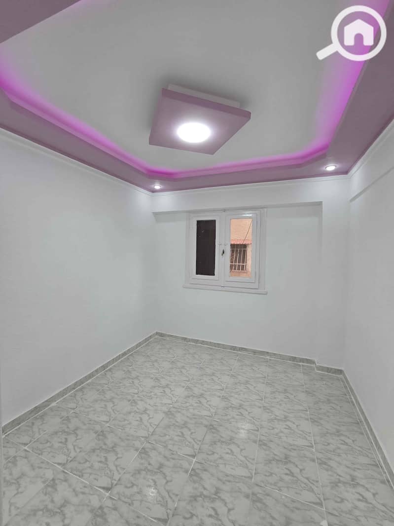 4 48daeed4-7aa2-418f-b4ee-abea11cc4976. jpg
