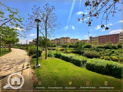 فلیٹ 3 غرف نوم للبيع في مدينتي، القاهرة - WhatsApp Image 2026-06-11 at 12.19. 22 PM (1). jpeg فلیٹ 3 غرف نوم للبيع في مدينتي، القاهرة - WhatsApp Image 2026-06-11 at 12.19. 22 PM (1). jpeg