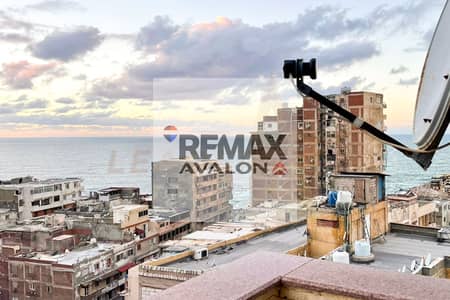 3 Bedroom Flat for Sale in Sidi Gaber, Alexandria - 1. jpg 3 Bedroom Flat for Sale in Sidi Gaber, Alexandria - 1. jpg
