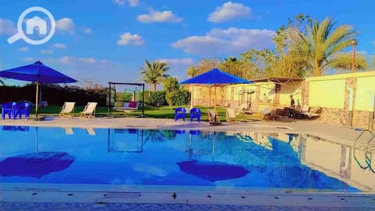 7 Bedroom Villa for Rent in 6th of October, Giza - 1000309318. jpg