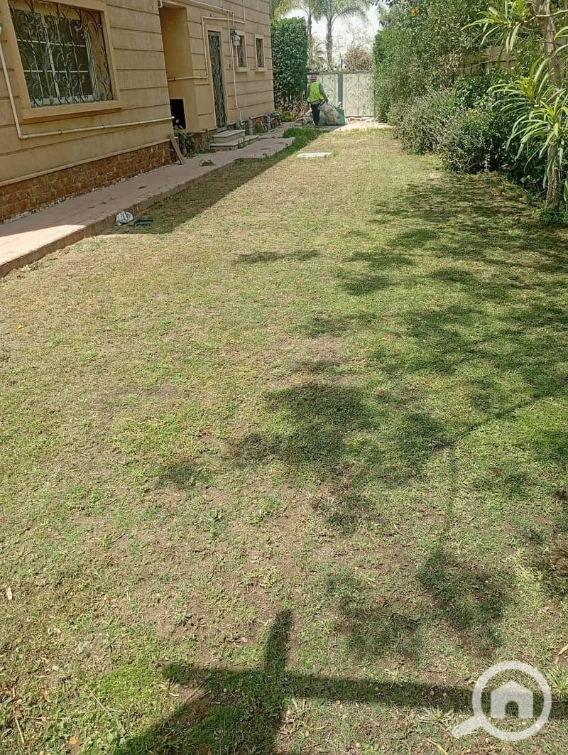 3 1000697483. jpg