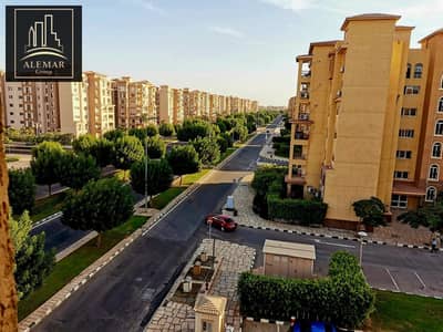 4 Bedroom Apartment for Sale in Madinaty, Cairo - 8117a394-50b6-4332-a83b-582b30b99e60. jpeg. jfif 4 Bedroom Apartment for Sale in Madinaty, Cairo - 8117a394-50b6-4332-a83b-582b30b99e60. jpeg. jfif