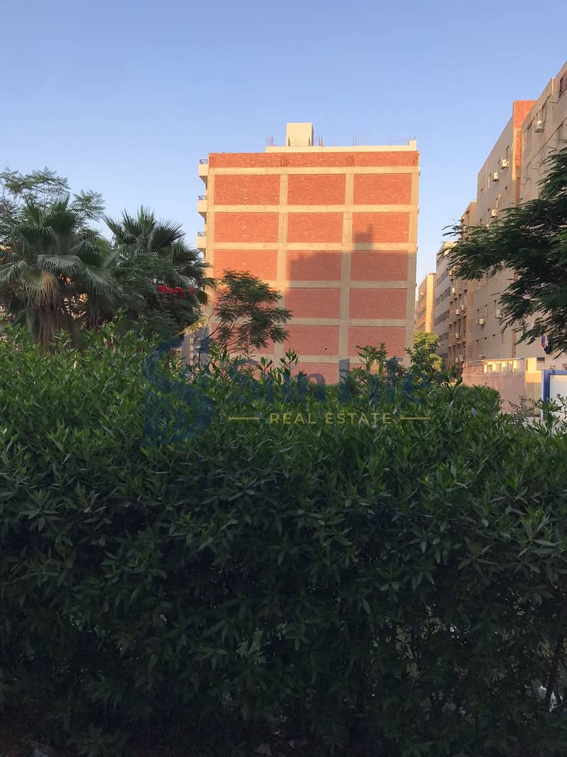 3 73549. jpg