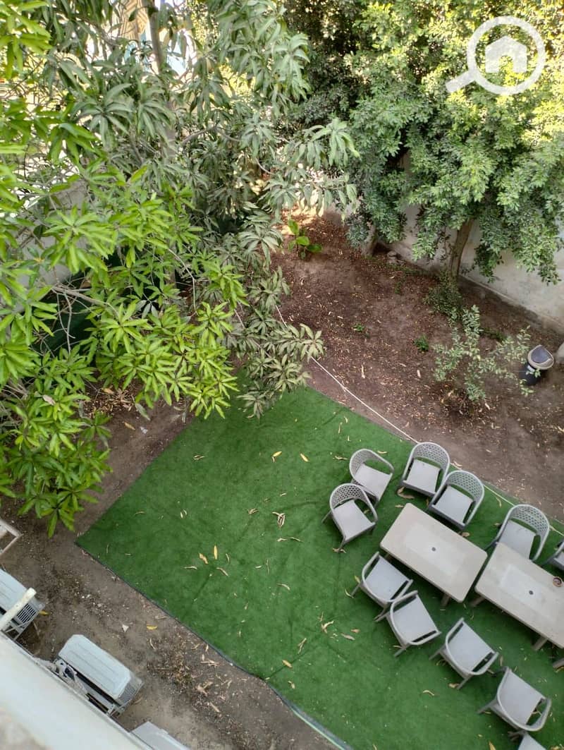 13 1000424973. jpg