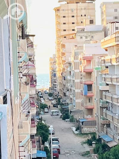 شقة 2 غرفة نوم للبيع في النخيل، الإسكندرية - 1000593950. jpg