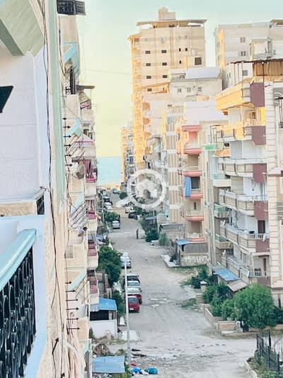 شقة 2 غرفة نوم للبيع في النخيل، الإسكندرية - 1000423979. jpg