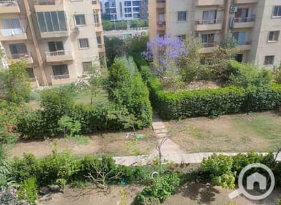 2 Bedroom Apartment for Rent in Sheikh Zayed, Giza - 1000142159. jpg 2 Bedroom Apartment for Rent in Sheikh Zayed, Giza - 1000142159. jpg