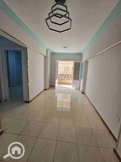 فلیٹ 2 غرفة نوم للبيع في النخيل، الإسكندرية - 1000404537. jpg