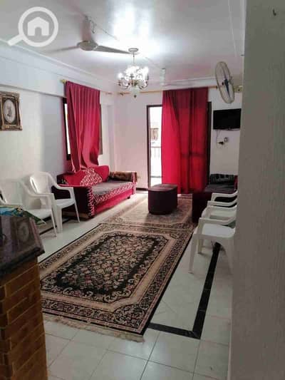 2 Bedroom Apartment for Sale in Nakheel, Alexandria - 1000403767. jpg