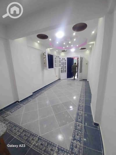 فلیٹ 2 غرفة نوم للبيع في النخيل، الإسكندرية - 1000300290. heic