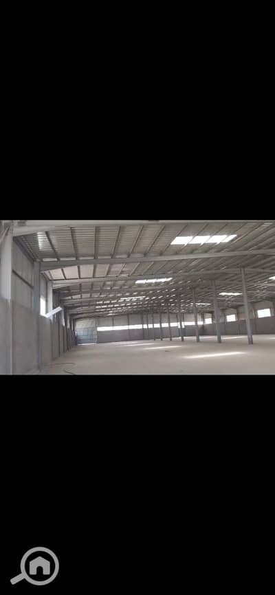 Factory for Rent in New Beni Suef, Beni Suef - WhatsApp Image 2026-06-16 at 10.28. 53 AM (1). jpeg Factory for Rent in New Beni Suef, Beni Suef - WhatsApp Image 2026-06-16 at 10.28. 53 AM (1). jpeg