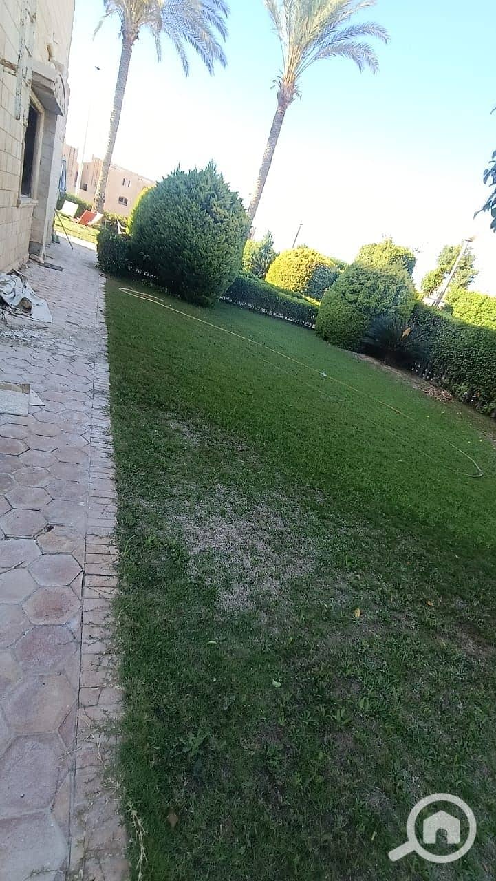 11 91397. jpg