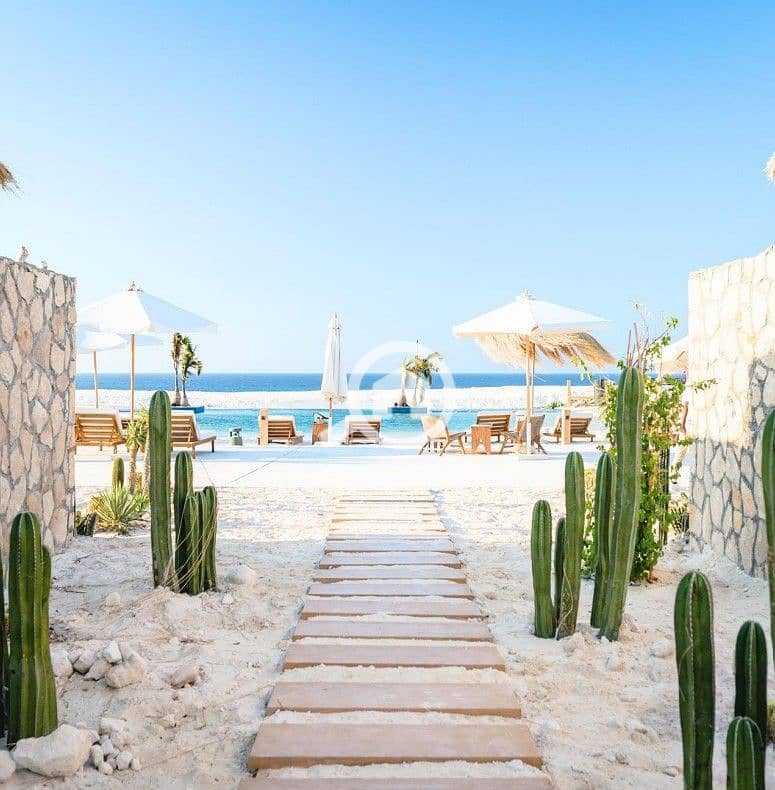 12 Screenshot 2026-06-17 113351. jpg