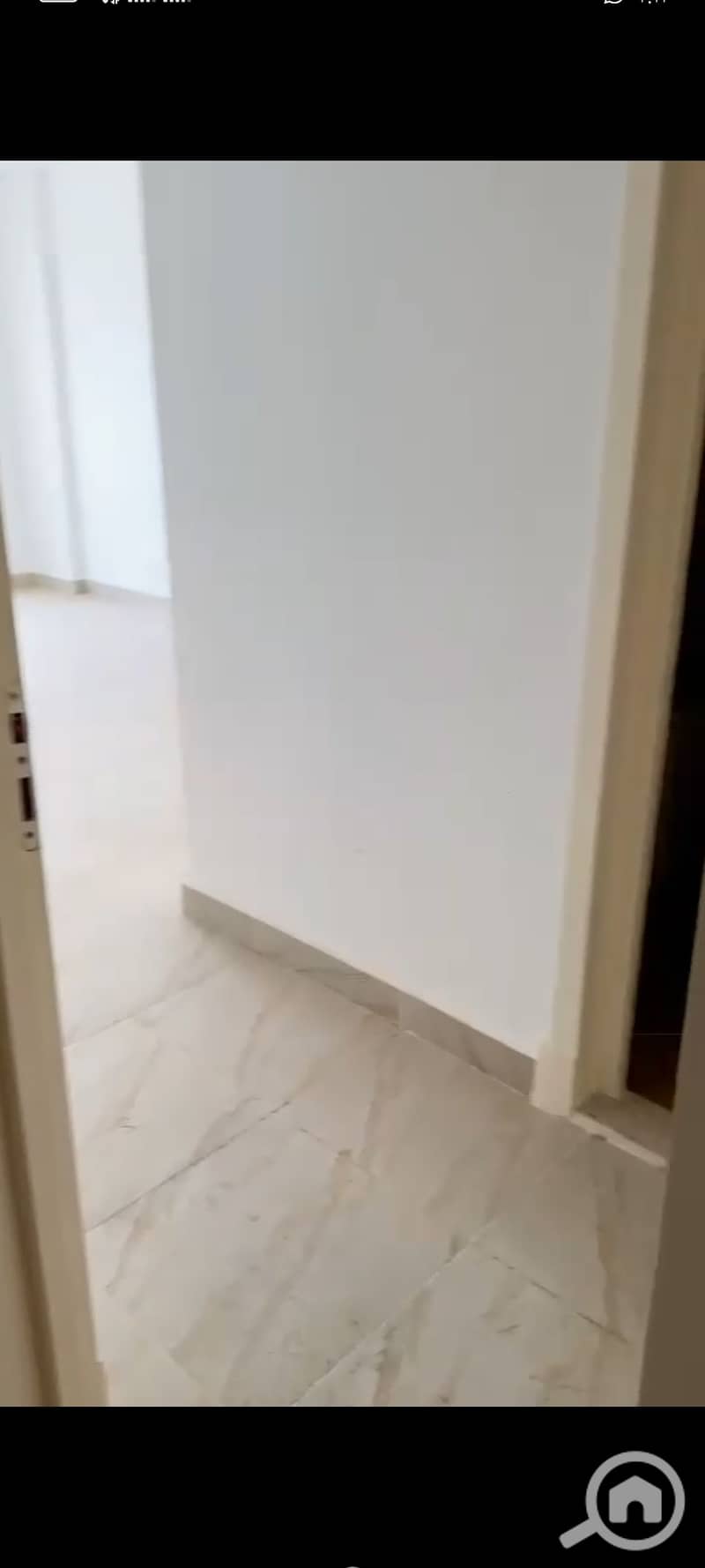 5 1000461305. jpg